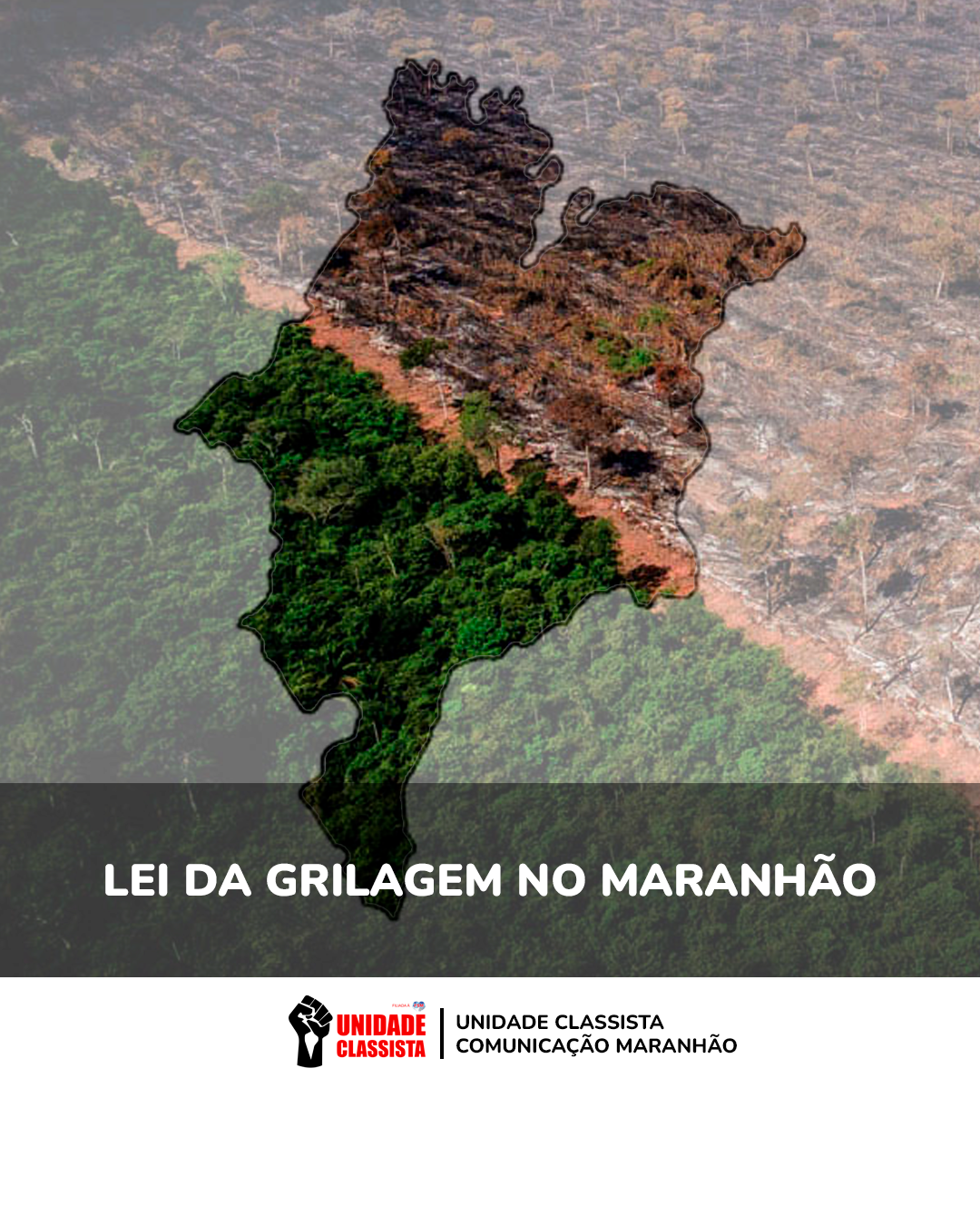 Lei da Grilagem no Maranhão