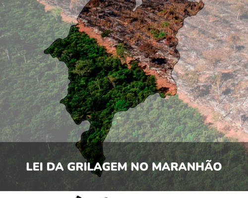 Lei da Grilagem no Maranhão